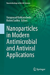 eBook (pdf) Nanoparticles in Modern Antimicrobial and Antiviral Applications de 