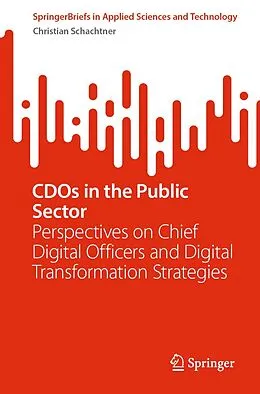 E-Book (pdf) CDOs in the Public Sector von Christian Schachtner