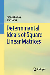 eBook (pdf) Determinantal Ideals of Square Linear Matrices de Zaqueu Ramos, Aron Simis