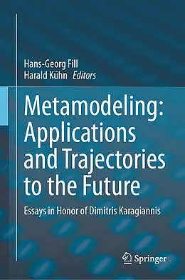 E-Book (pdf) Metamodeling: Applications and Trajectories to the Future von 