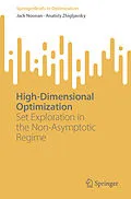 E-Book (pdf) High-Dimensional Optimization von Jack Noonan, Anatoly Zhigljavsky