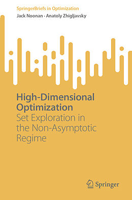 eBook (pdf) High-Dimensional Optimization de Jack Noonan, Anatoly Zhigljavsky