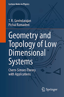 Kartonierter Einband Geometry and Topology of Low Dimensional Systems von Pichai Ramadevi, T. R. Govindarajan