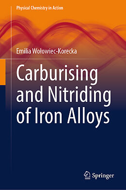 eBook (pdf) Carburising and Nitriding of Iron Alloys de Emilia Wolowiec-Korecka