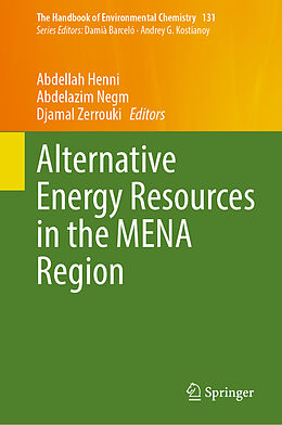 eBook (pdf) Alternative Energy Resources in the MENA Region de 