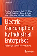 E-Book (pdf) Electric Consumption by Industrial Enterprises von Ikromjon U. Rakhmonov, Vasiliy Ya. Ushakov, Foziljon A. Khoshimov
