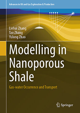 Livre Relié Modelling in Nanoporous Shale de Liehui Zhang, Yulong Zhao, Tao Zhang