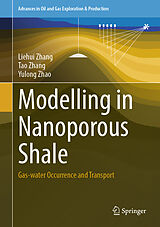 eBook (pdf) Modelling in Nanoporous Shale de Liehui Zhang, Tao Zhang, Yulong Zhao