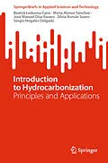 E-Book (pdf) Introduction to Hydrocarbonization von Beatriz Ledesma Cano, María Alonso Sánchez, José Manuel Díaz Rasero