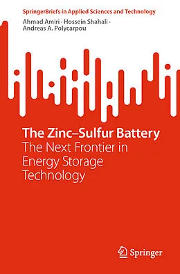 E-Book (pdf) The Zinc-Sulfur Battery von Ahmad Amiri, Hossein Shahali, Andreas A. Polycarpou