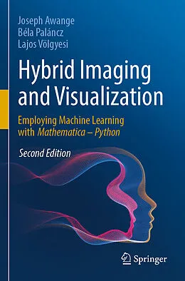 E-Book (pdf) Hybrid Imaging and Visualization von Joseph Awange, Béla Paláncz, Lajos Völgyesi
