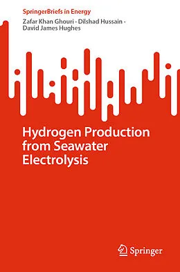 E-Book (pdf) Hydrogen Production from Seawater Electrolysis von Zafar Khan Ghouri, Dilshad Hussain, David James Hughes