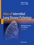 E-Book (pdf) Atlas of Interstitial Lung Disease Pathology von Andrew Churg, Nestor L. Müller