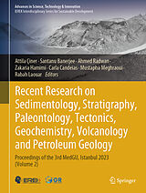 Fester Einband Recent Research on Sedimentology, Stratigraphy, Paleontology, Tectonics, Geochemistry, Volcanology and Petroleum Geology von 