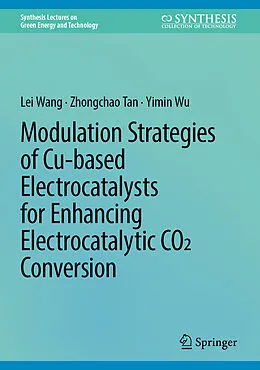 E-Book (pdf) Modulation Strategies of Cu-based Electrocatalysts for Enhancing Electrocatalytic CO2 Conversion von Lei Wang, Zhongchao Tan, Yimin Wu