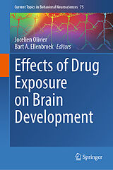Fester Einband Effects of Drug Exposure on Brain Development von 