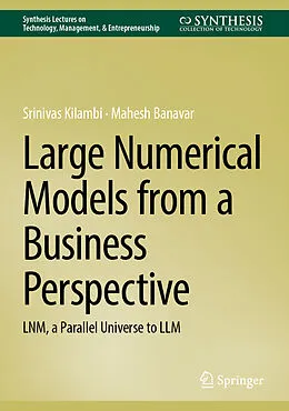 E-Book (pdf) Large Numerical Models from a Business Perspective von Srinivas Kilambi, Mahesh Banavar