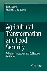 Fester Einband Agricultural Transformation and Food Security von 