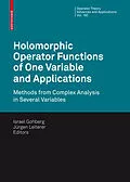 E-Book (pdf) Holomorphic Operator Functions of One Variable and Applications von Israel Gohberg, Jürgen Leiterer