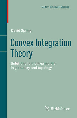 E-Book (pdf) Convex Integration Theory von David Spring