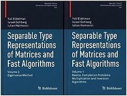 Fester Einband Separable Type Representations of Matrices and Fast Algorithms von Yuli Eidelman, Israel Gohberg, Iulian Haimovici