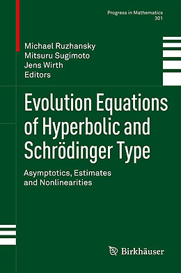 Kartonierter Einband Evolution Equations of Hyperbolic and Schrödinger Type von 