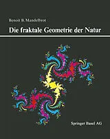 Kartonierter Einband Die fraktale Geometrie der Natur von B. Mandelbrot