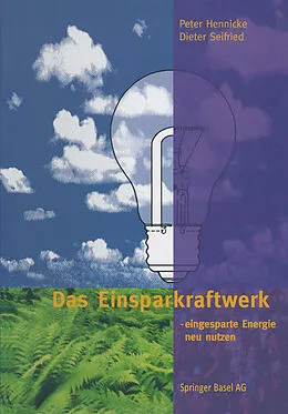 E-Book (pdf) Das Einsparkraftwerk von Peter Hennicke, Dieter Seifried