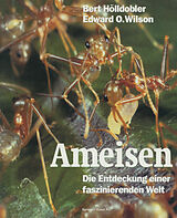 Kartonierter Einband Ameisen von Bert Hölldobler, Edward O. Wilson