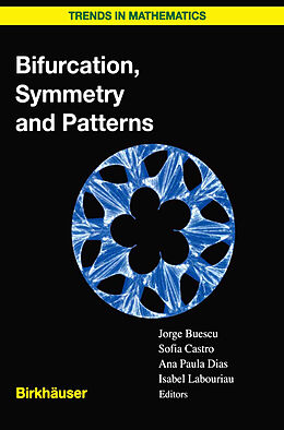 E-Book (pdf) Bifurcation, Symmetry and Patterns von 
