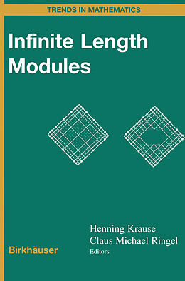 E-Book (pdf) Infinite Length Modules von 
