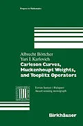 E-Book (pdf) Carleson Curves, Muckenhoupt Weights, and Toeplitz Operators von Albrecht Böttcher, Yuri I. Karlovich
