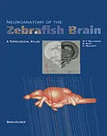 E-Book (pdf) Neuroanatomy of the Zebrafish Brain von Mario F. Wulliman, Barbara Rupp, Heinrich Reichert