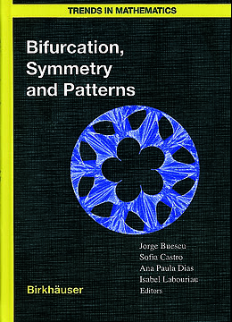 Kartonierter Einband Bifurcation, Symmetry and Patterns von 