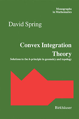 Kartonierter Einband Convex Integration Theory von 