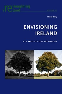 eBook (pdf) Envisioning Ireland de Claire Nally