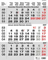Planer (Wandkalender) (Kal) 3-Monats-Kalender grau 2027 von