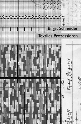 Paperback Textiles Prozessieren von Birgit Schneider