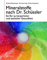 Fester Einband Mineralstoffe nach Dr. Schüssler von Richard Kellenberger, Christine Hug, Friedrich Kopsche