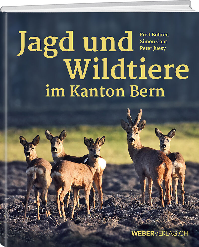 Jagd und Wildtiere im Kanton Bern