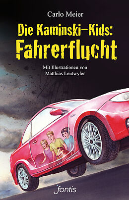 Kartonierter Einband Die Kaminski-Kids: Fahrerflucht (TB) von Carlo Meier