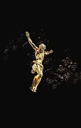 Fester Einband Hoffnung für alle. Die Bibel - "Golden Jesus Edition" von 