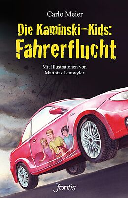 E-Book (epub) Die Kaminski-Kids: Fahrerflucht von Carlo Meier