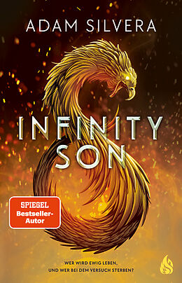 Fester Einband Infinity Son (Bd. 1) von Adam Silvera