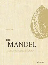 Fester Einband Die Mandel von Jonas Frei