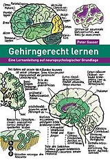 Paperback Gehirngerecht lernen von Peter Gasser