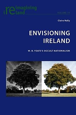 Kartonierter Einband Envisioning Ireland von Claire Nally
