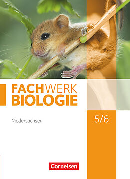 Fester Einband Fachwerk Biologie - Niedersachsen - 5./6. Schuljahr von Matthias Ritter, Reinhold Rehbach, Katrin Oberschelp