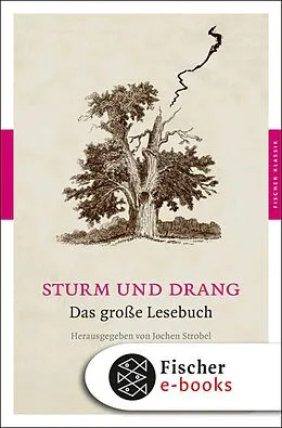 E-Book (epub) Sturm und Drang von Jochen Strobel