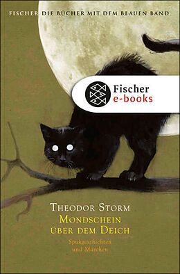 E-Book (epub) Mondschein über dem Deich von Theodor Storm